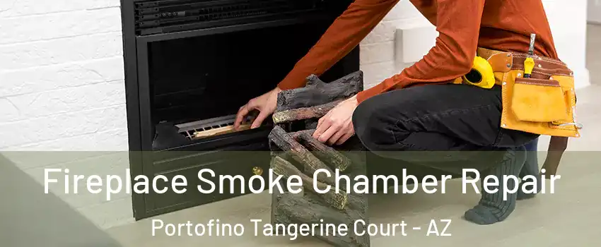 Fireplace Smoke Chamber Repair Portofino Tangerine Court - AZ
