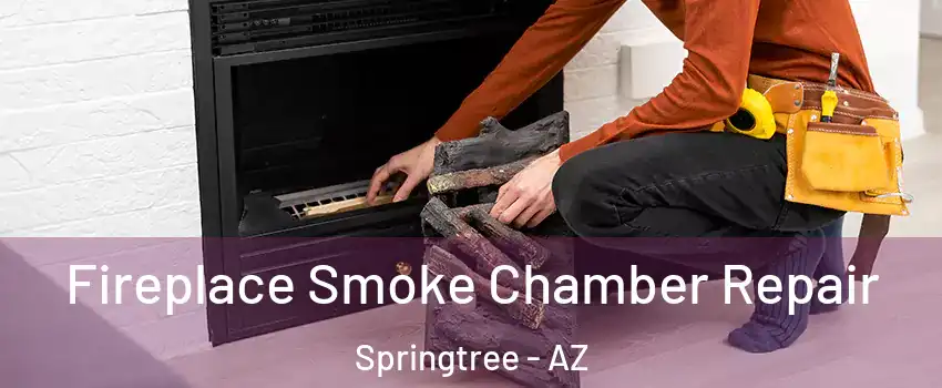 Fireplace Smoke Chamber Repair Springtree - AZ
