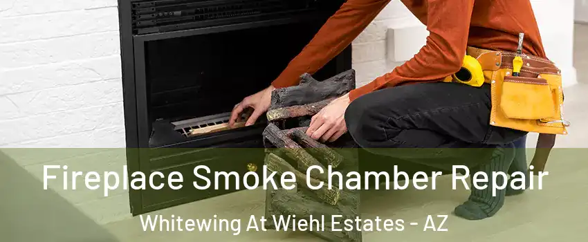 Fireplace Smoke Chamber Repair Whitewing At Wiehl Estates - AZ