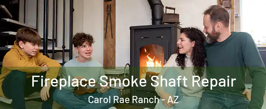 Fireplace Smoke Shaft Repair Carol Rae Ranch - AZ