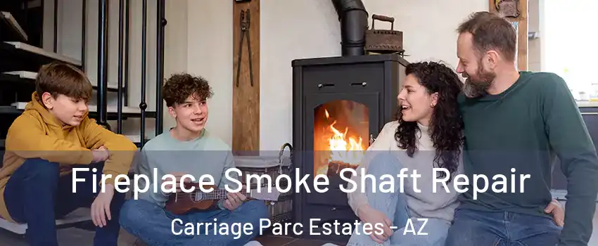 Fireplace Smoke Shaft Repair Carriage Parc Estates - AZ