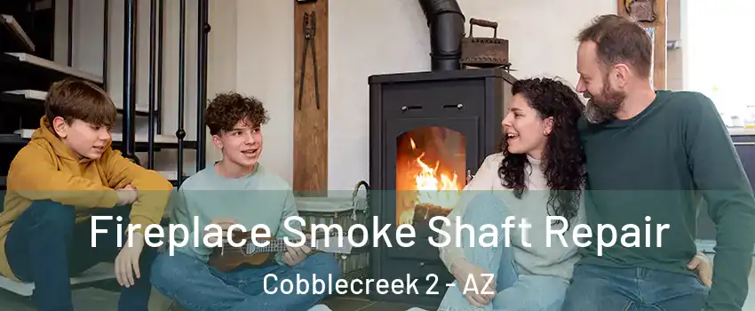 Fireplace Smoke Shaft Repair Cobblecreek 2 - AZ