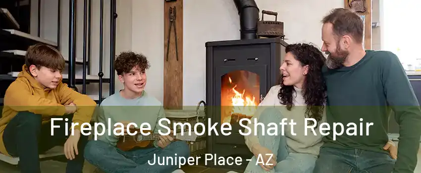 Fireplace Smoke Shaft Repair Juniper Place - AZ