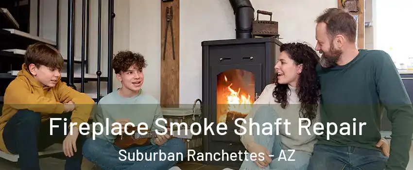 Fireplace Smoke Shaft Repair Suburban Ranchettes - AZ