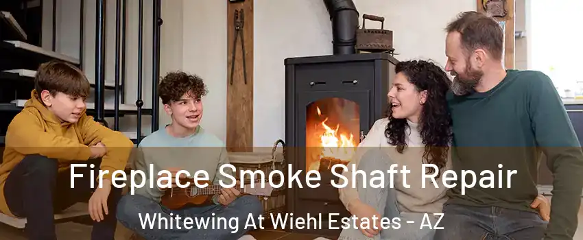 Fireplace Smoke Shaft Repair Whitewing At Wiehl Estates - AZ