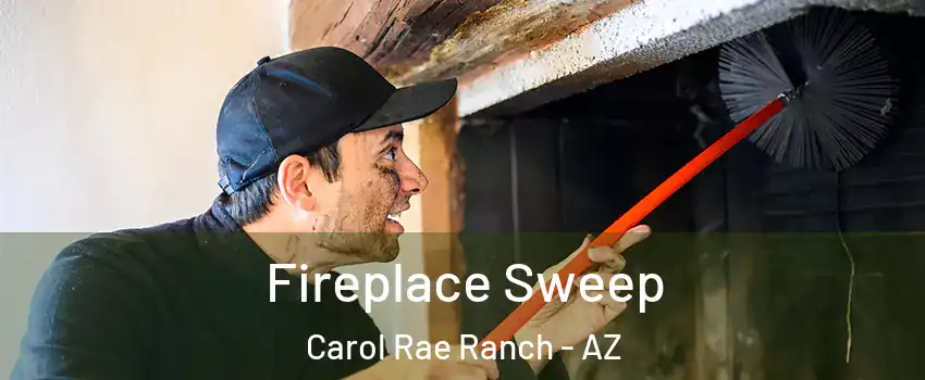 Fireplace Sweep Carol Rae Ranch - AZ