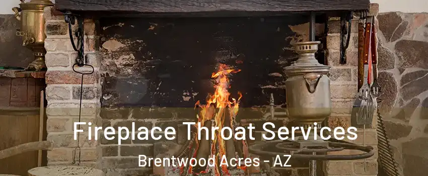 Fireplace Throat Services Brentwood Acres - AZ