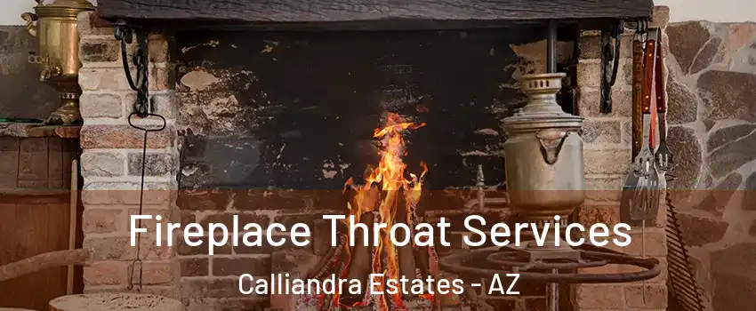 Fireplace Throat Services Calliandra Estates - AZ