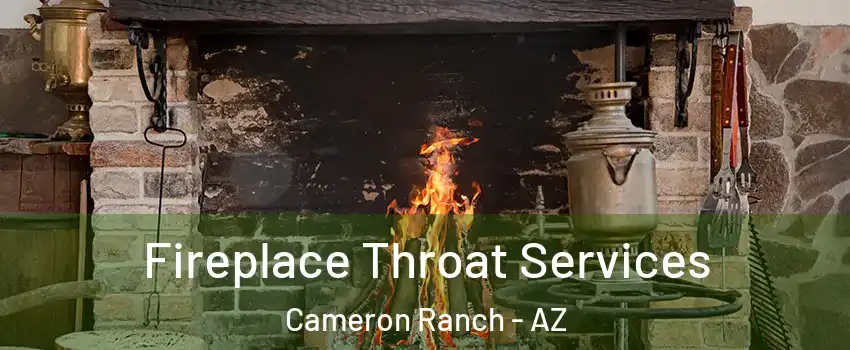 Fireplace Throat Services Cameron Ranch - AZ