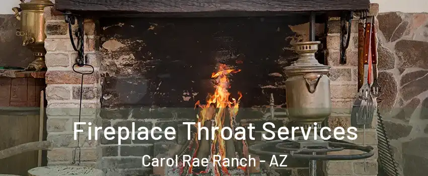 Fireplace Throat Services Carol Rae Ranch - AZ