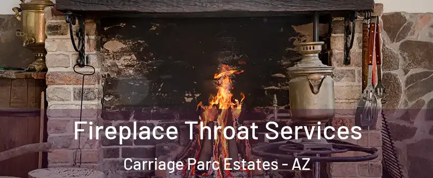 Fireplace Throat Services Carriage Parc Estates - AZ
