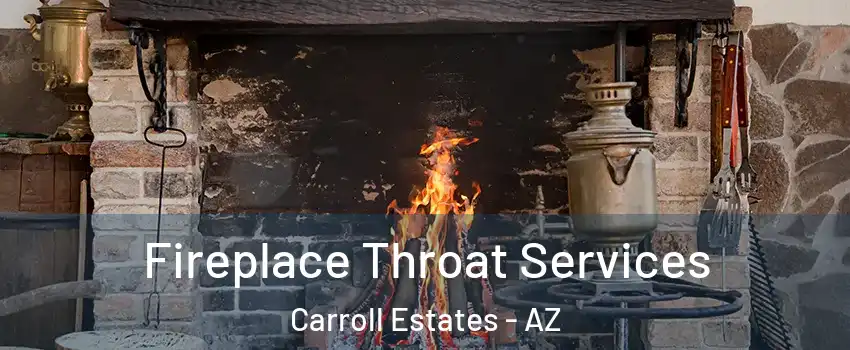 Fireplace Throat Services Carroll Estates - AZ