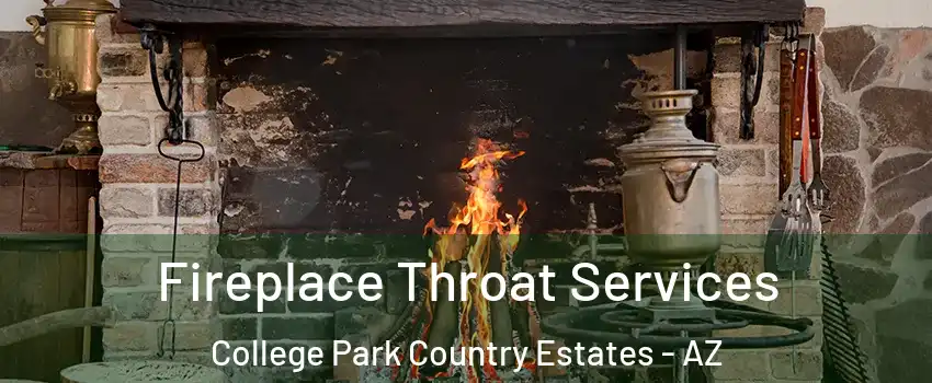 Fireplace Throat Services College Park Country Estates - AZ
