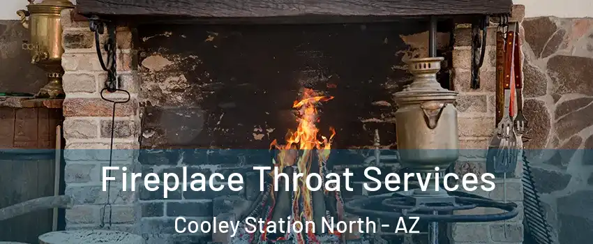 Fireplace Throat Services Cooley Station North - AZ