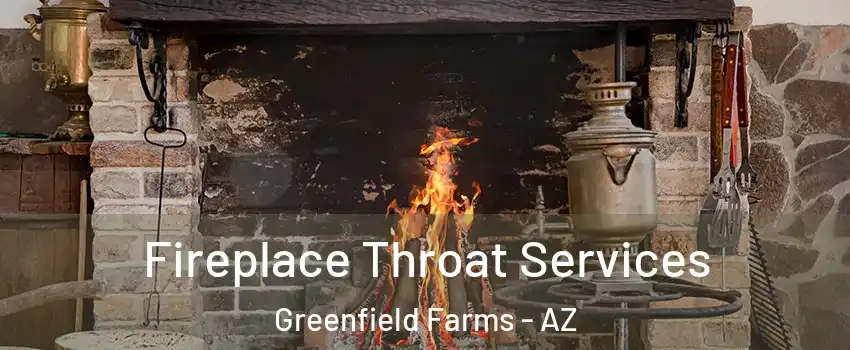 Fireplace Throat Services Greenfield Farms - AZ