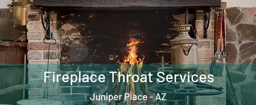 Fireplace Throat Services Juniper Place - AZ