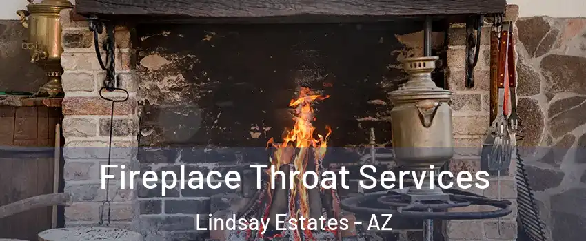 Fireplace Throat Services Lindsay Estates - AZ