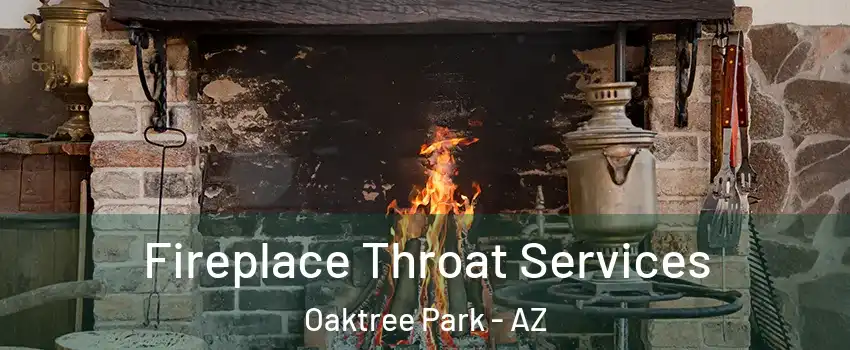 Fireplace Throat Services Oaktree Park - AZ