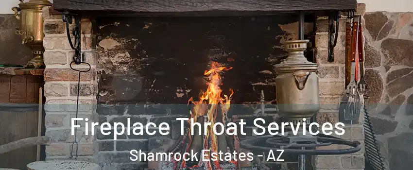 Fireplace Throat Services Shamrock Estates - AZ