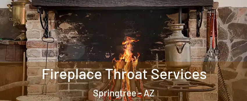 Fireplace Throat Services Springtree - AZ