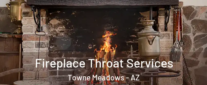 Fireplace Throat Services Towne Meadows - AZ