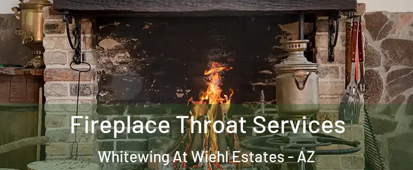 Fireplace Throat Services Whitewing At Wiehl Estates - AZ