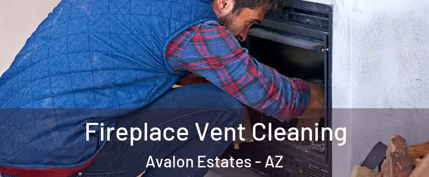 Fireplace Vent Cleaning Avalon Estates - AZ