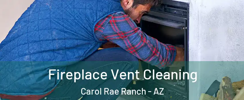 Fireplace Vent Cleaning Carol Rae Ranch - AZ