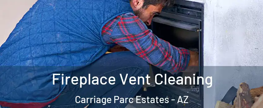 Fireplace Vent Cleaning Carriage Parc Estates - AZ