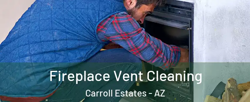 Fireplace Vent Cleaning Carroll Estates - AZ