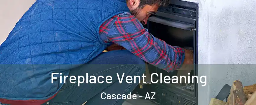 Fireplace Vent Cleaning Cascade - AZ