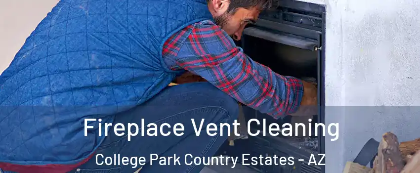 Fireplace Vent Cleaning College Park Country Estates - AZ