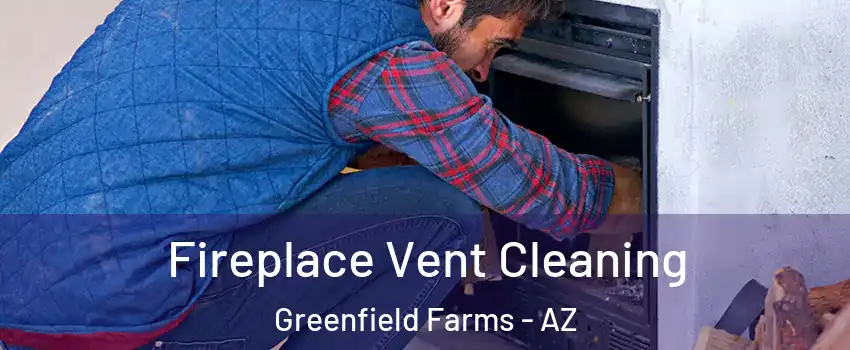 Fireplace Vent Cleaning Greenfield Farms - AZ