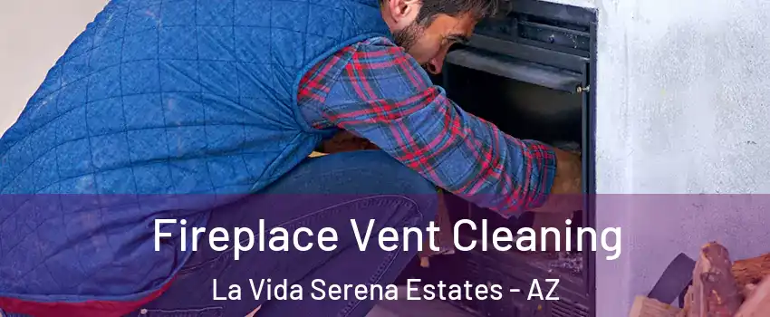 Fireplace Vent Cleaning La Vida Serena Estates - AZ