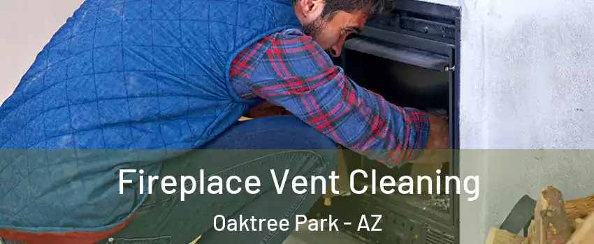 Fireplace Vent Cleaning Oaktree Park - AZ