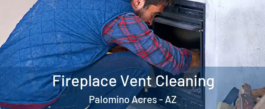 Fireplace Vent Cleaning Palomino Acres - AZ