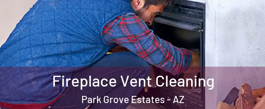 Fireplace Vent Cleaning Park Grove Estates - AZ