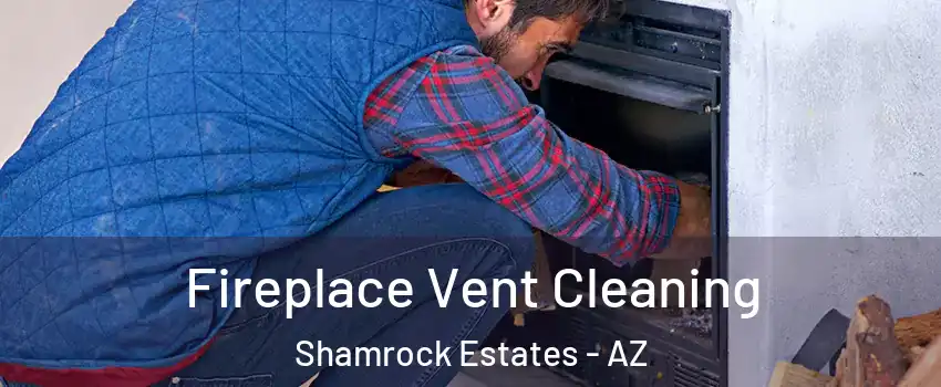 Fireplace Vent Cleaning Shamrock Estates - AZ