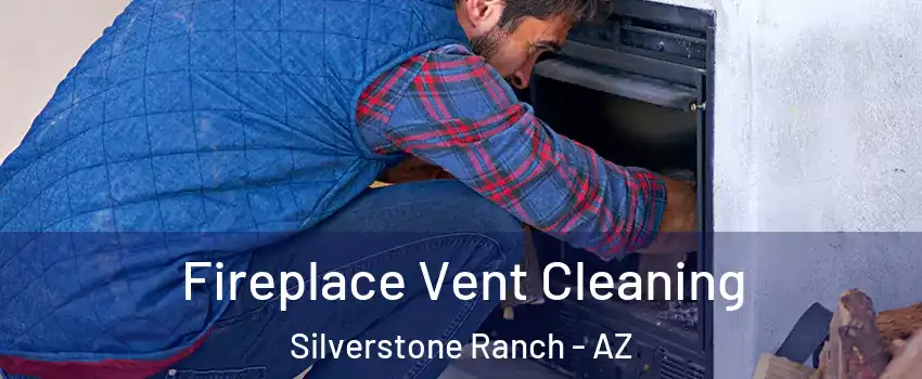 Fireplace Vent Cleaning Silverstone Ranch - AZ