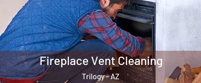 Fireplace Vent Cleaning Trilogy - AZ