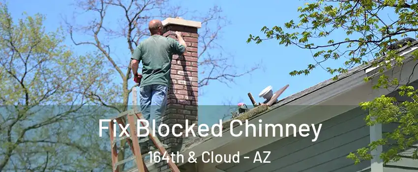 Fix Blocked Chimney 164th & Cloud - AZ