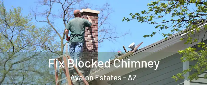 Fix Blocked Chimney Avalon Estates - AZ