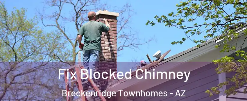 Fix Blocked Chimney Breckenridge Townhomes - AZ
