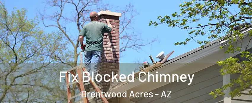 Fix Blocked Chimney Brentwood Acres - AZ
