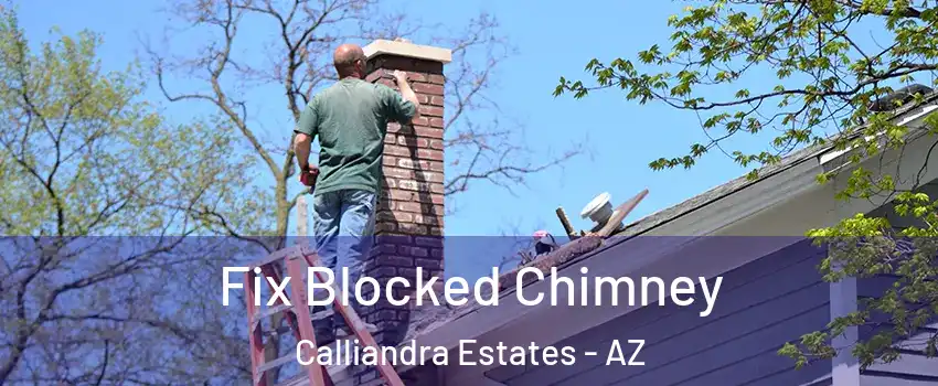 Fix Blocked Chimney Calliandra Estates - AZ