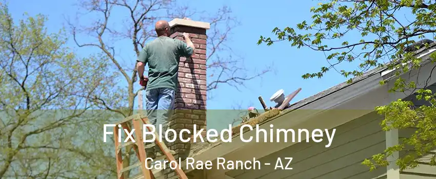 Fix Blocked Chimney Carol Rae Ranch - AZ