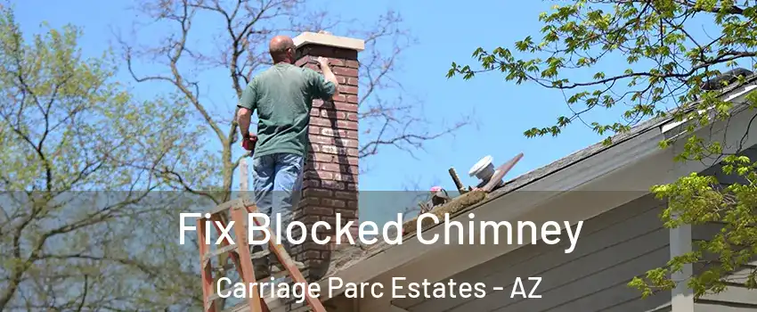 Fix Blocked Chimney Carriage Parc Estates - AZ