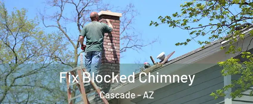 Fix Blocked Chimney Cascade - AZ