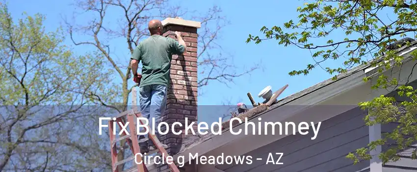 Fix Blocked Chimney Circle g Meadows - AZ