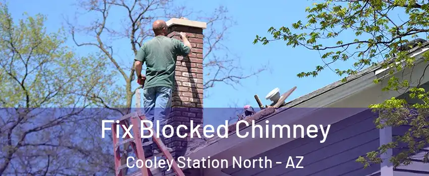 Fix Blocked Chimney Cooley Station North - AZ